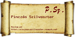 Pinczés Szilveszter névjegykártya